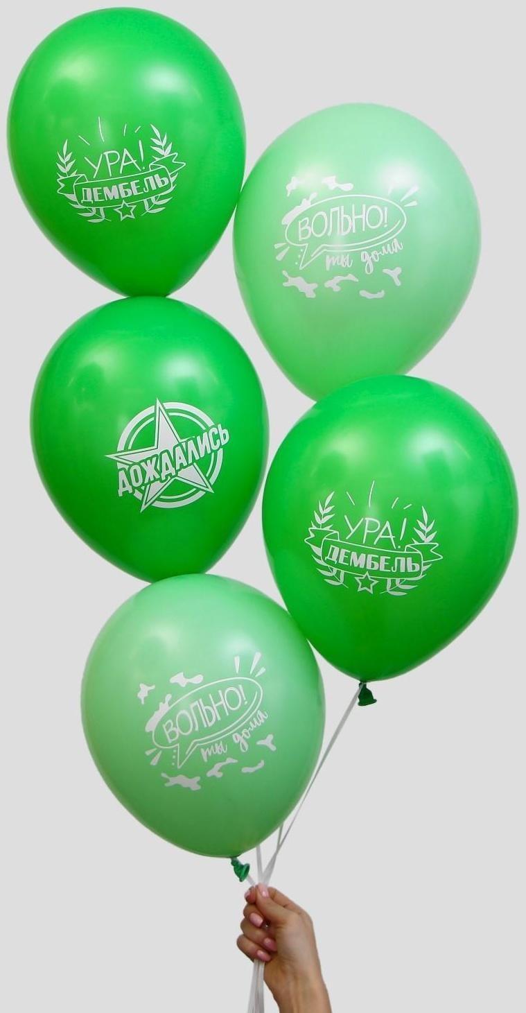 Шар латексный «Дембель», 5 шт., 12