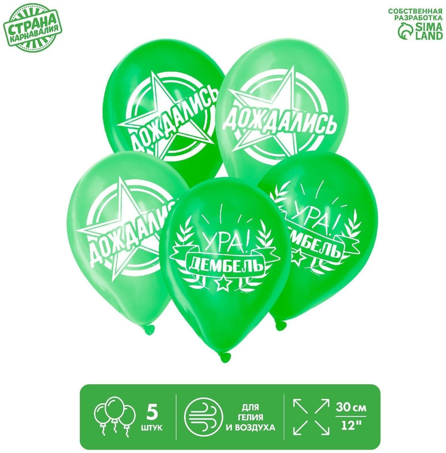 Шар латексный «Дембель», 5 шт., 12