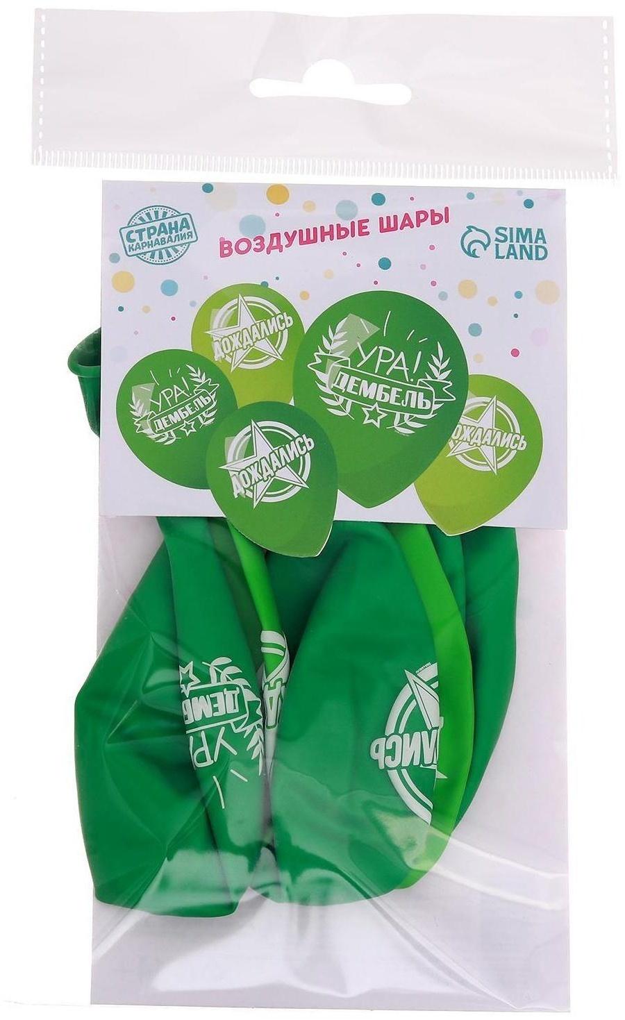 Шар латексный «Дембель», 5 шт., 12