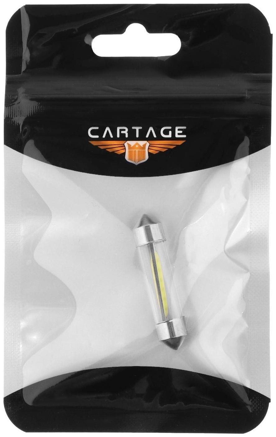 Автолампа светодиодная C5W, 12 В, 2 СОВ, 39 мм, 2.5 Вт, свет белый