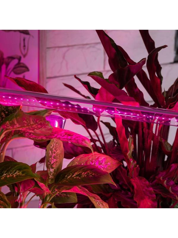 Фитолампа светодиодная, 18 Вт, 1200 мм, IP20, сине-красный спектр, фиолетовая, «ЭРА»
