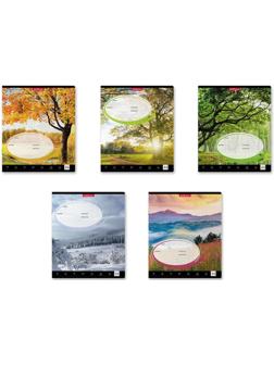 Тетрадь 24 листа в клетку ErichKrause 