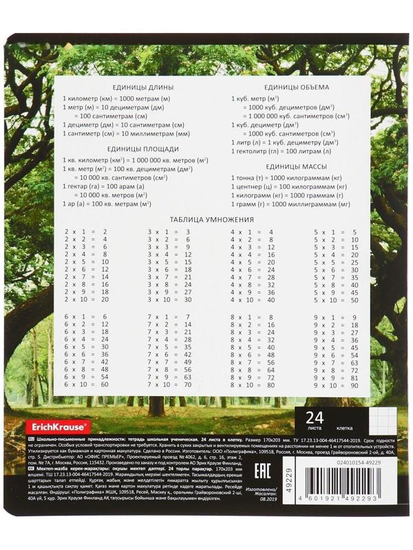 Тетрадь 24 листа в клетку ErichKrause 