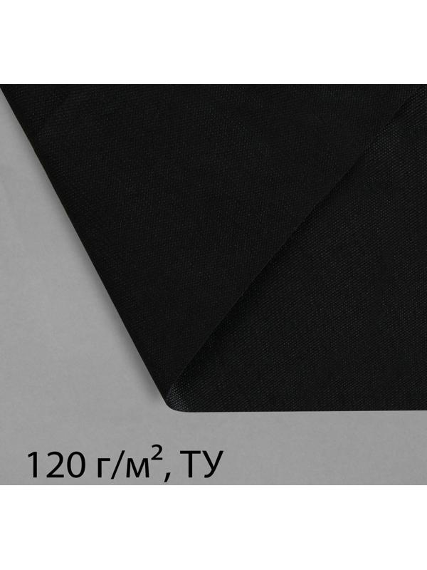 Материал для ландшафтных работ, 5 × 3,2 м, плотность 120 г/м², с УФ-стабилизатором, чёрный, Greengo, Эконом 20%