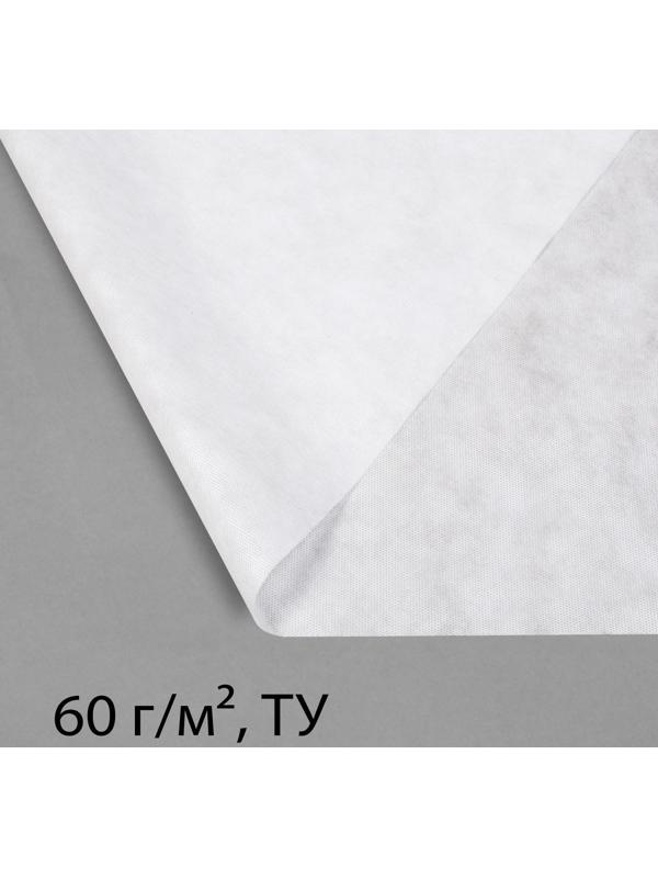 Материал укрывной, 10 × 2,1 м, плотность 60 г/м², с УФ-стабилизатором, белый, Greengo, Эконом 20%
