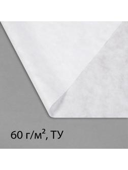 Материал укрывной, 5 × 3,2 м, плотность 60 г/м², с УФ-стабилизатором, белый, Greengo, Эконом 20 %