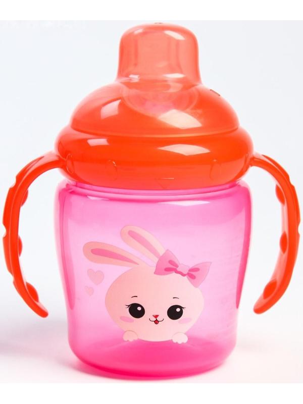 Поильник с мягким носиком «Зайка Полли», с ручками, 250 мл