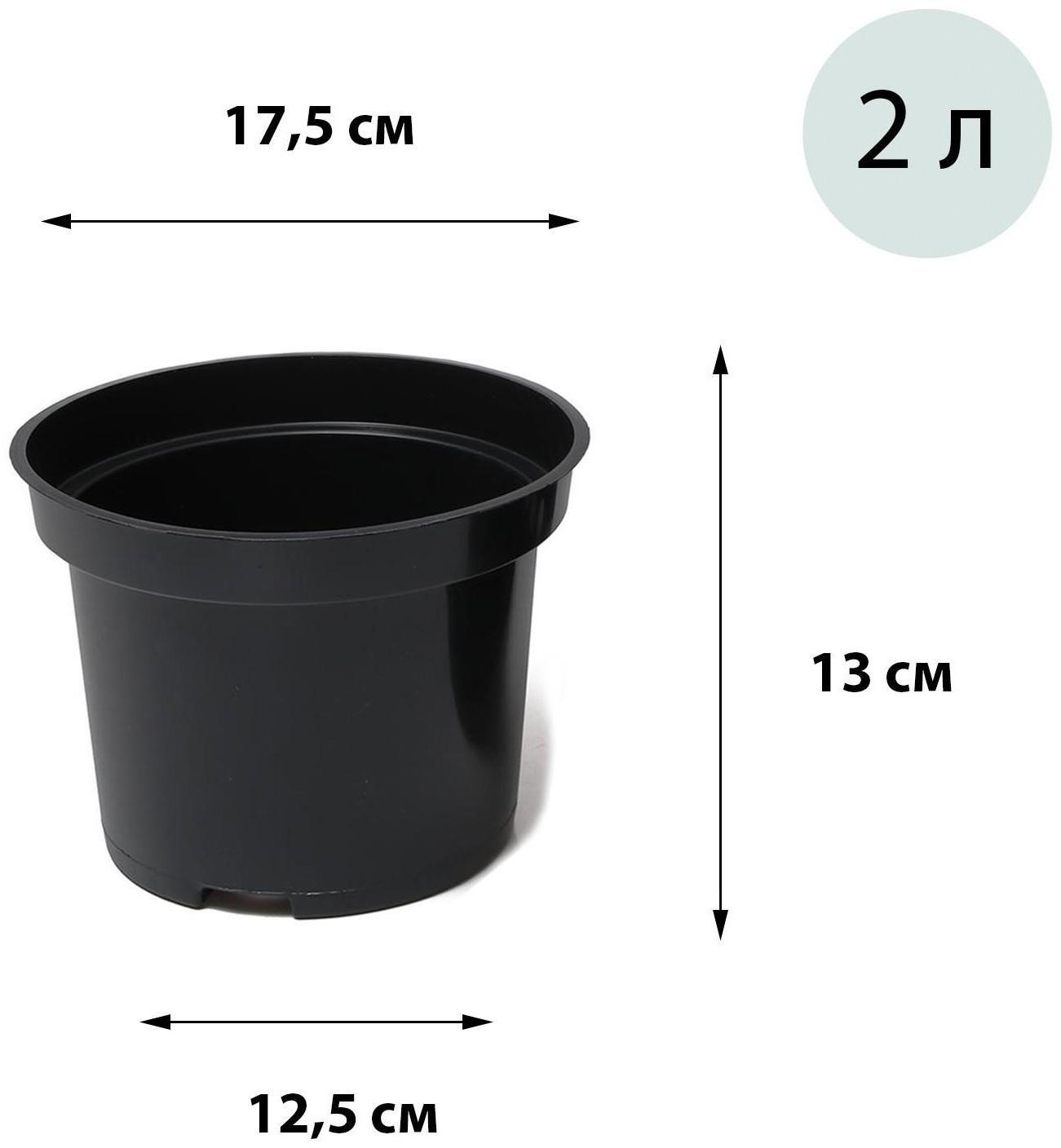 Горшок для рассады, 2 л, 17 × 17 × 13 см, чёрный, Greengo