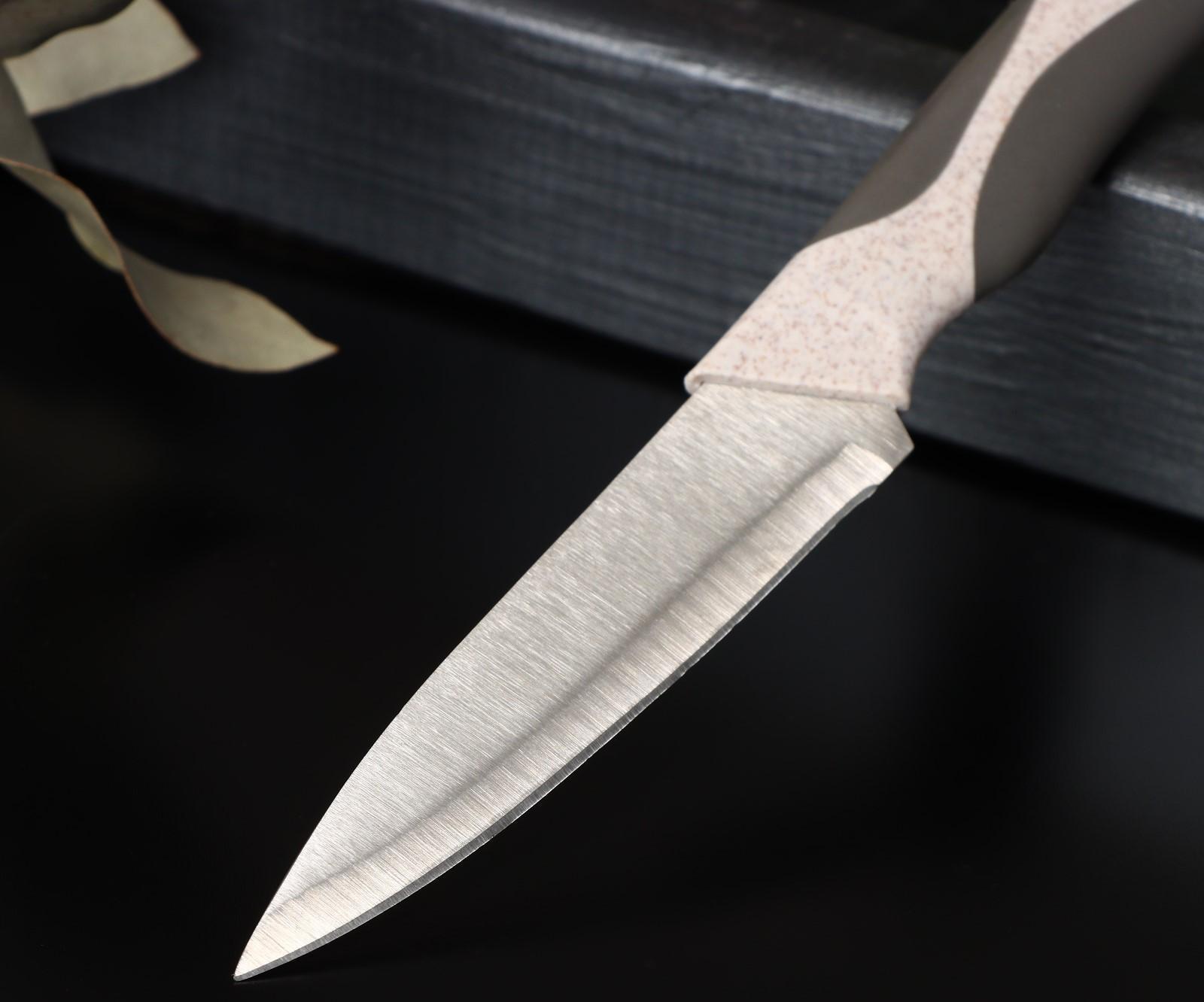 Нож кухонный «Мезури», лезвие 9,5 см, цвет МИКС