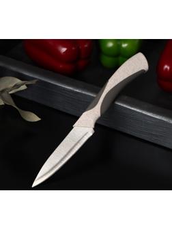 Нож кухонный «Мезури», лезвие 9,5 см, цвет МИКС