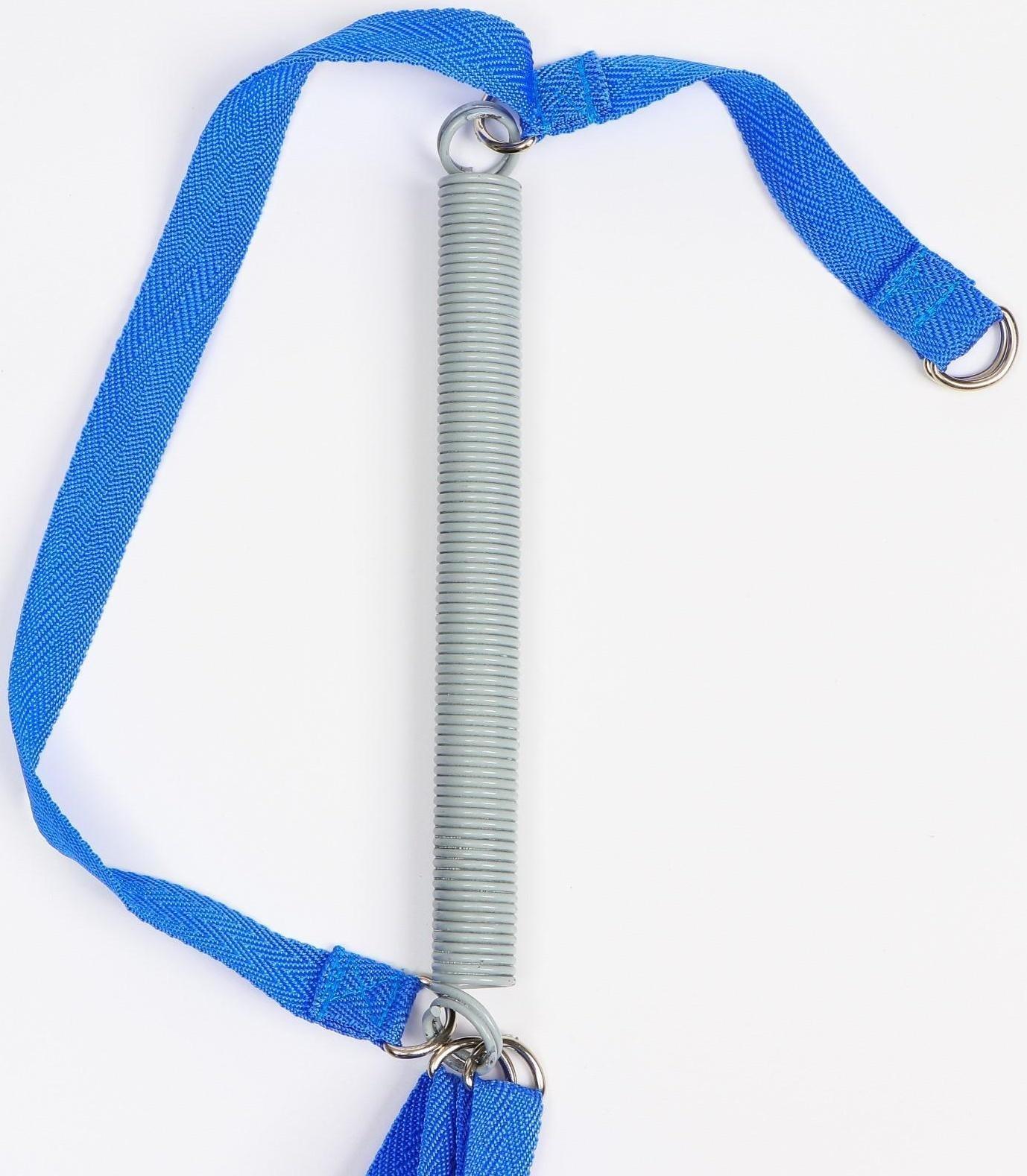 Прыгунки №1, 2в1, «Дино»