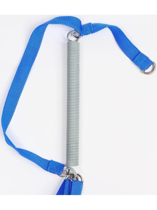 Прыгунки №1, 2в1, «Дино»