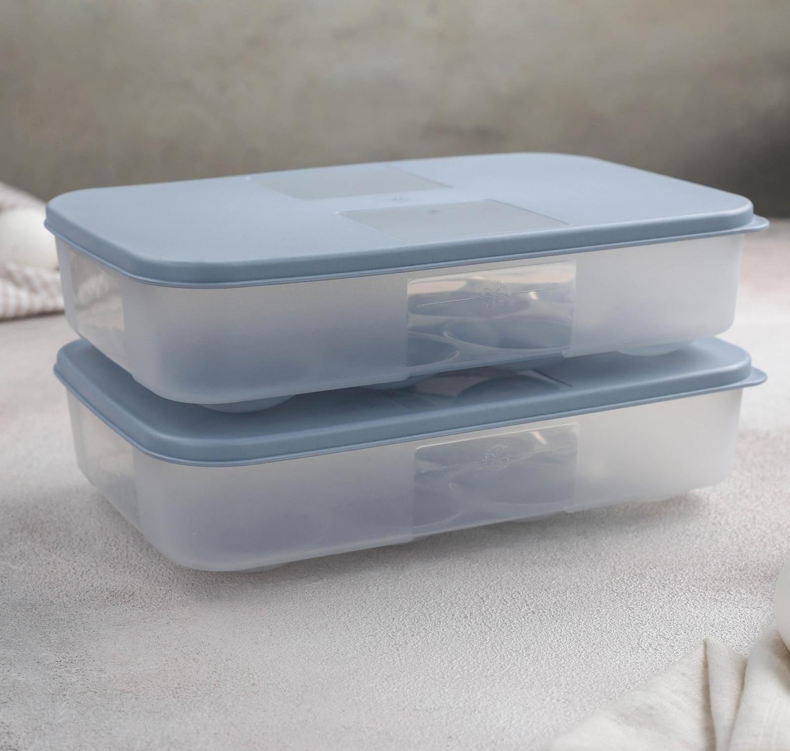 Набор контейнеров для яиц, 2 шт, 22,5×15×7,5 см, цвет МИКС