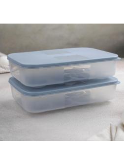 Набор контейнеров для яиц, 2 шт, 22,5×15×7,5 см, цвет МИКС