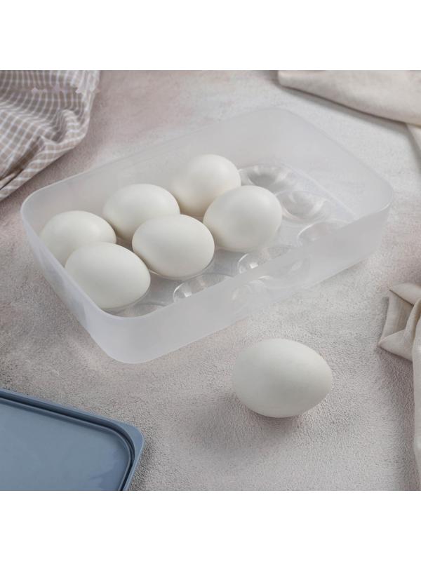 Набор контейнеров для яиц, 2 шт, 22,5×15×7,5 см, цвет МИКС