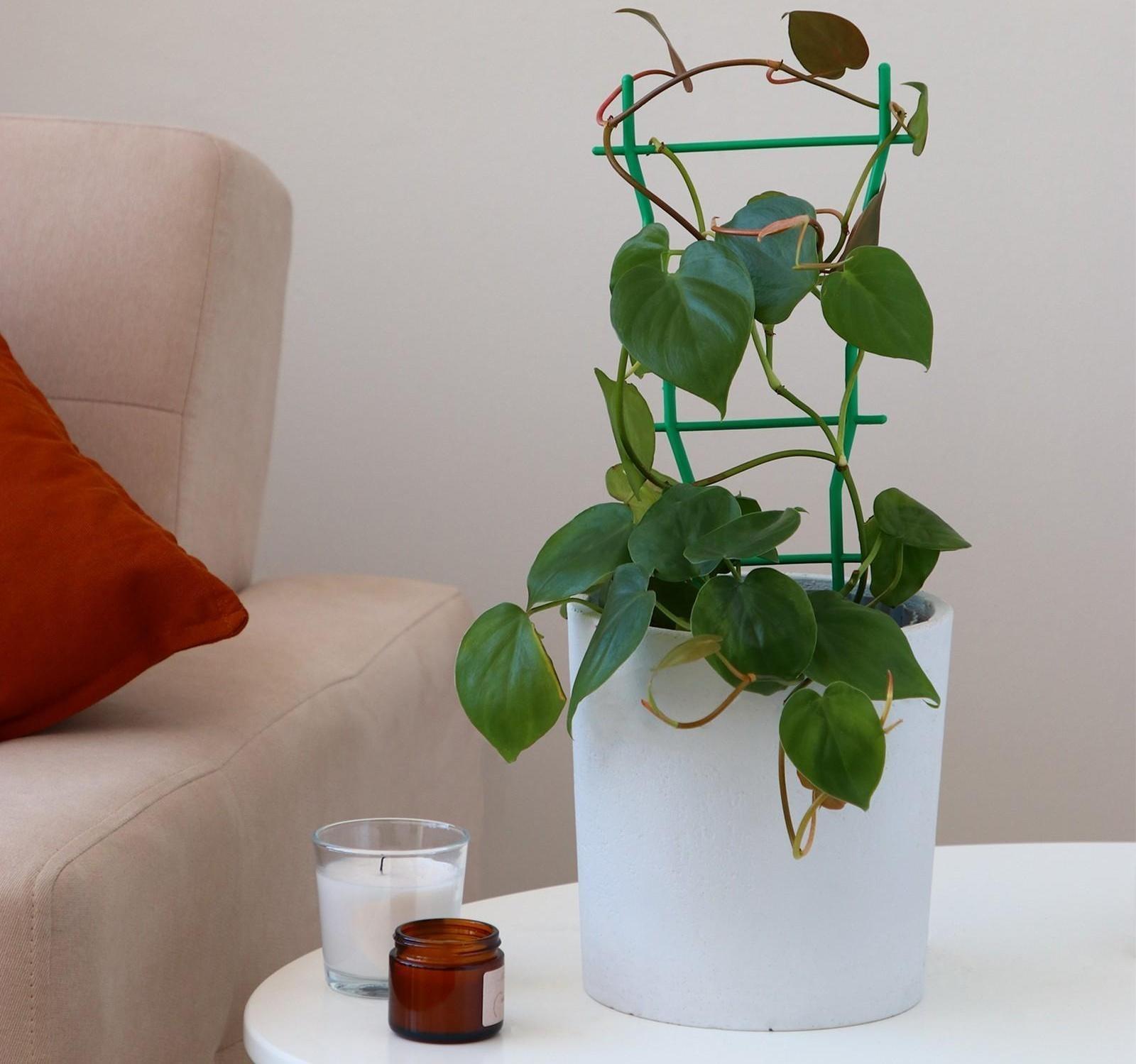 Шпалера, 32 × 19 × 0.5 см, пластик, зелёная