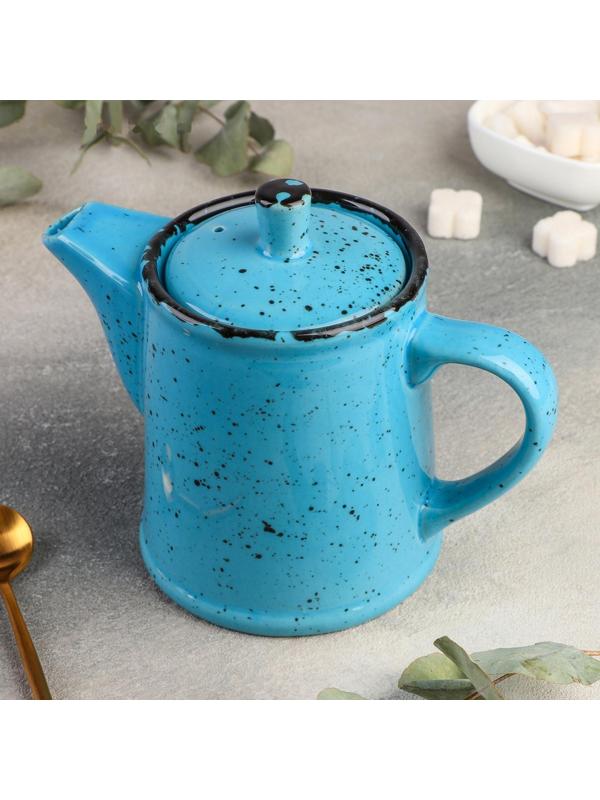 Чайник Acquamarino, 500 мл, h=14,5 см