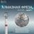 Фреза алмазная для маникюра «Шар», мелкая зернистость, 3,5 мм, в пластиковом футляре