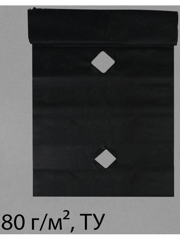 Материал мульчирующий, с перфорацией, 10 × 0,8 м, плотность 80 г/м², с УФ-стабилизатором, чёрный, Greengo, Эконом 20%