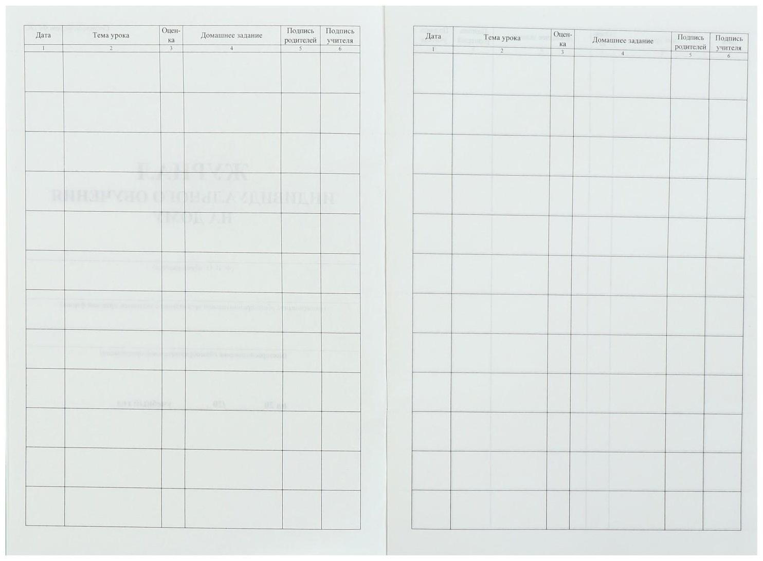 Журнал индивидуального обучения на дому А4, 24 листа, обложка мелованный картон 215 г/м², блок писчая бумага 60 г/м²