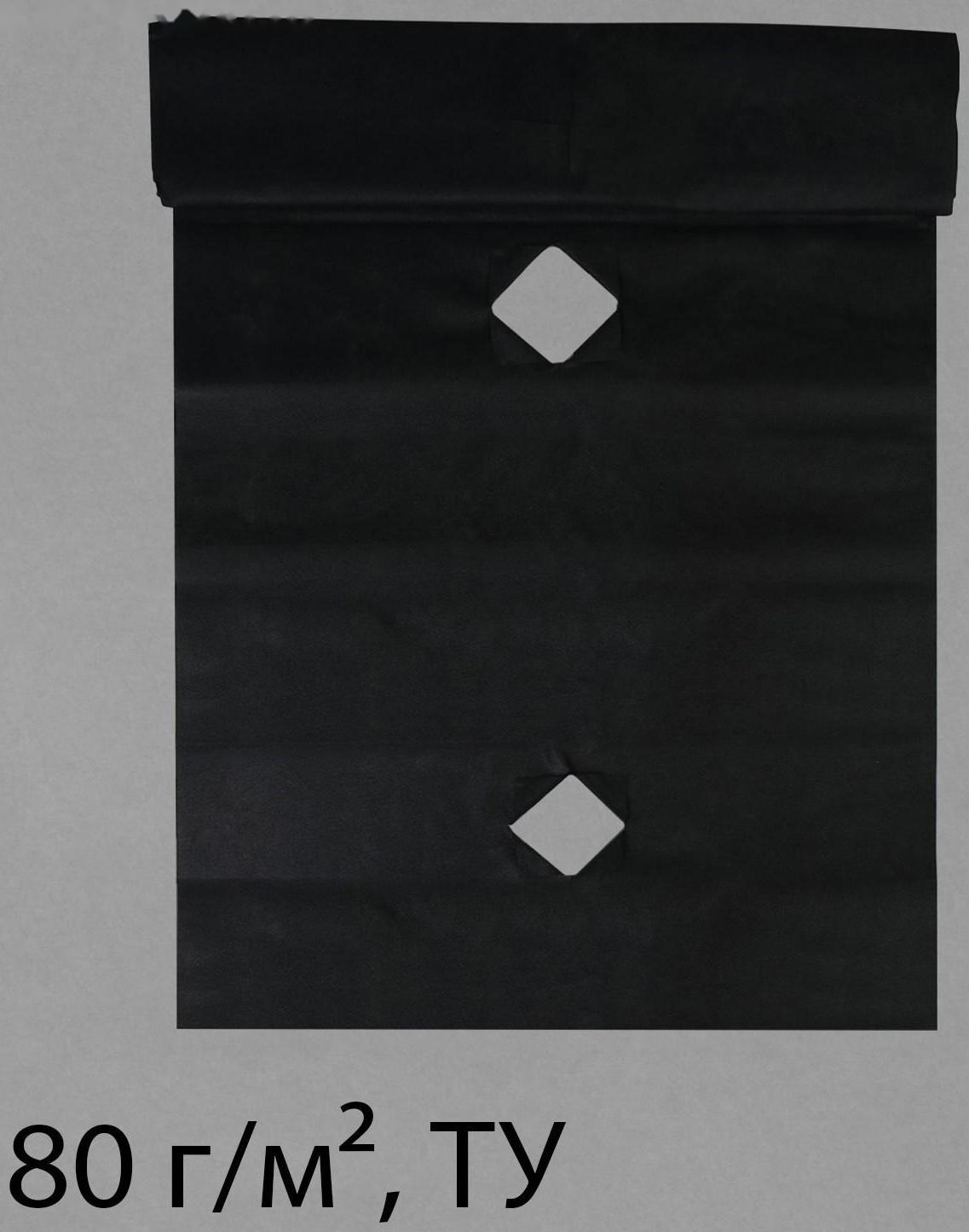 Материал мульчирующий, с перфорацией, 5 × 0,8 м, плотность 80 г/м², с УФ-стабилизатором, чёрный, Greengo, Эконом 20%