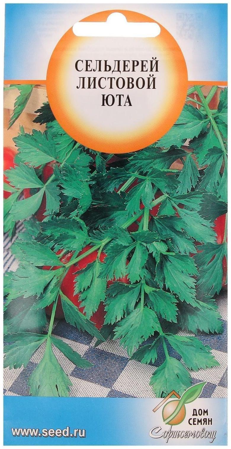Семена Сельдерей листовой 