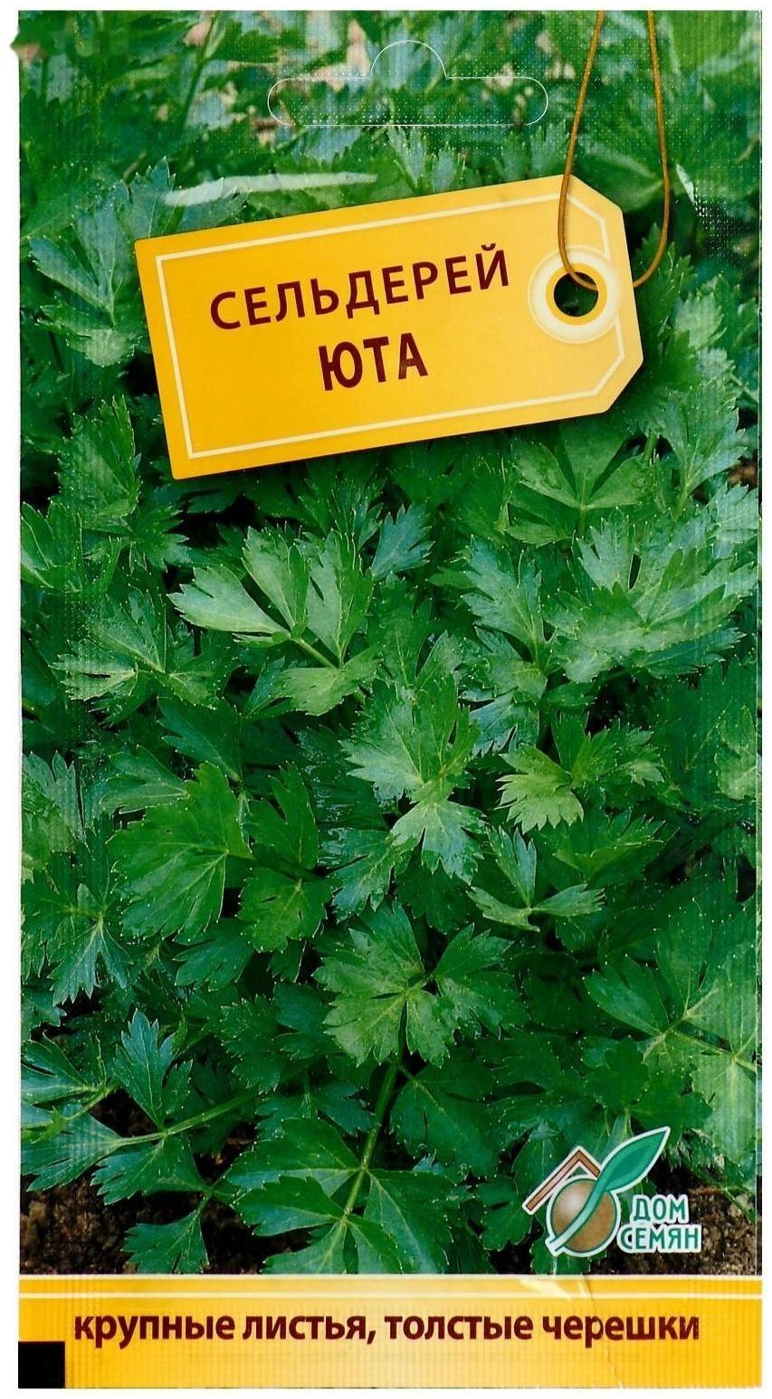 Семена Сельдерей листовой 