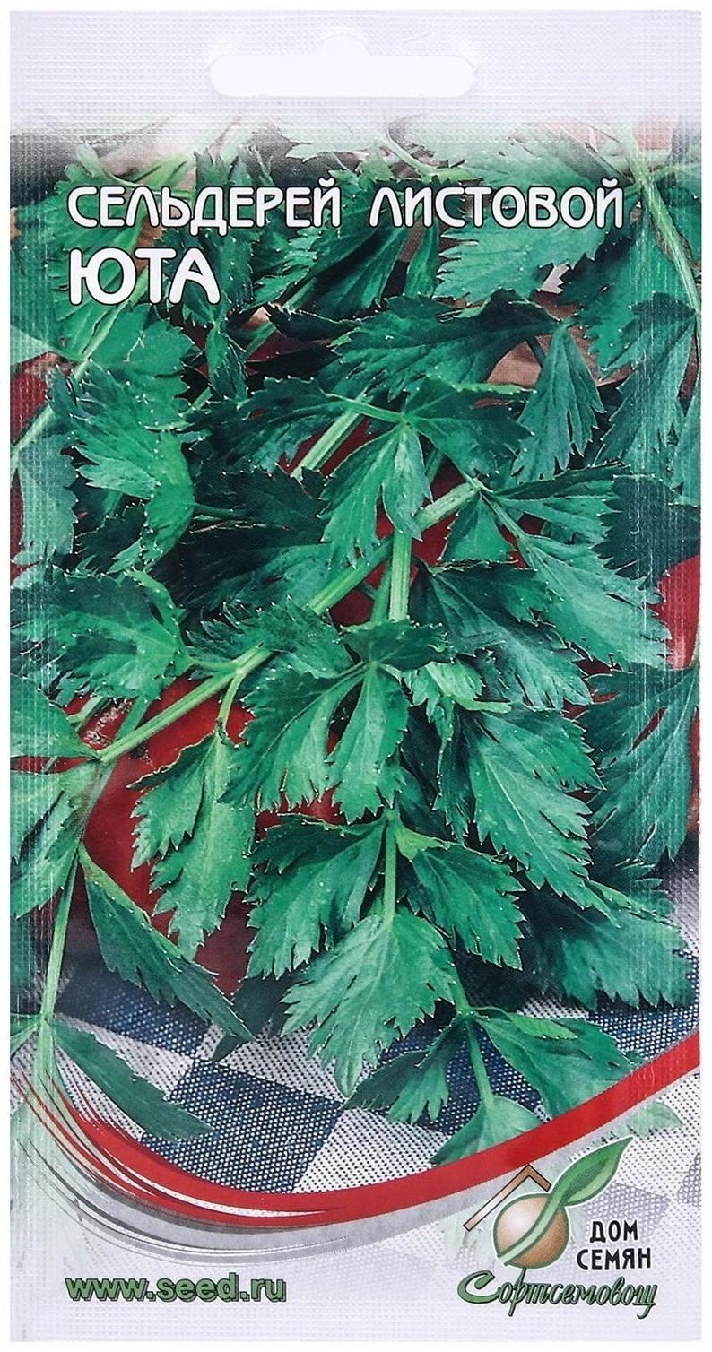 Семена Сельдерей листовой 