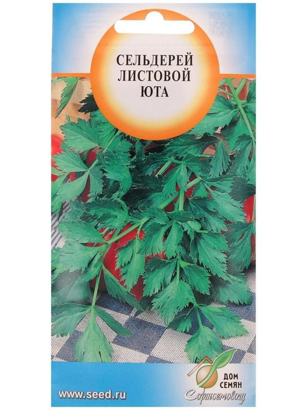 Семена Сельдерей листовой 