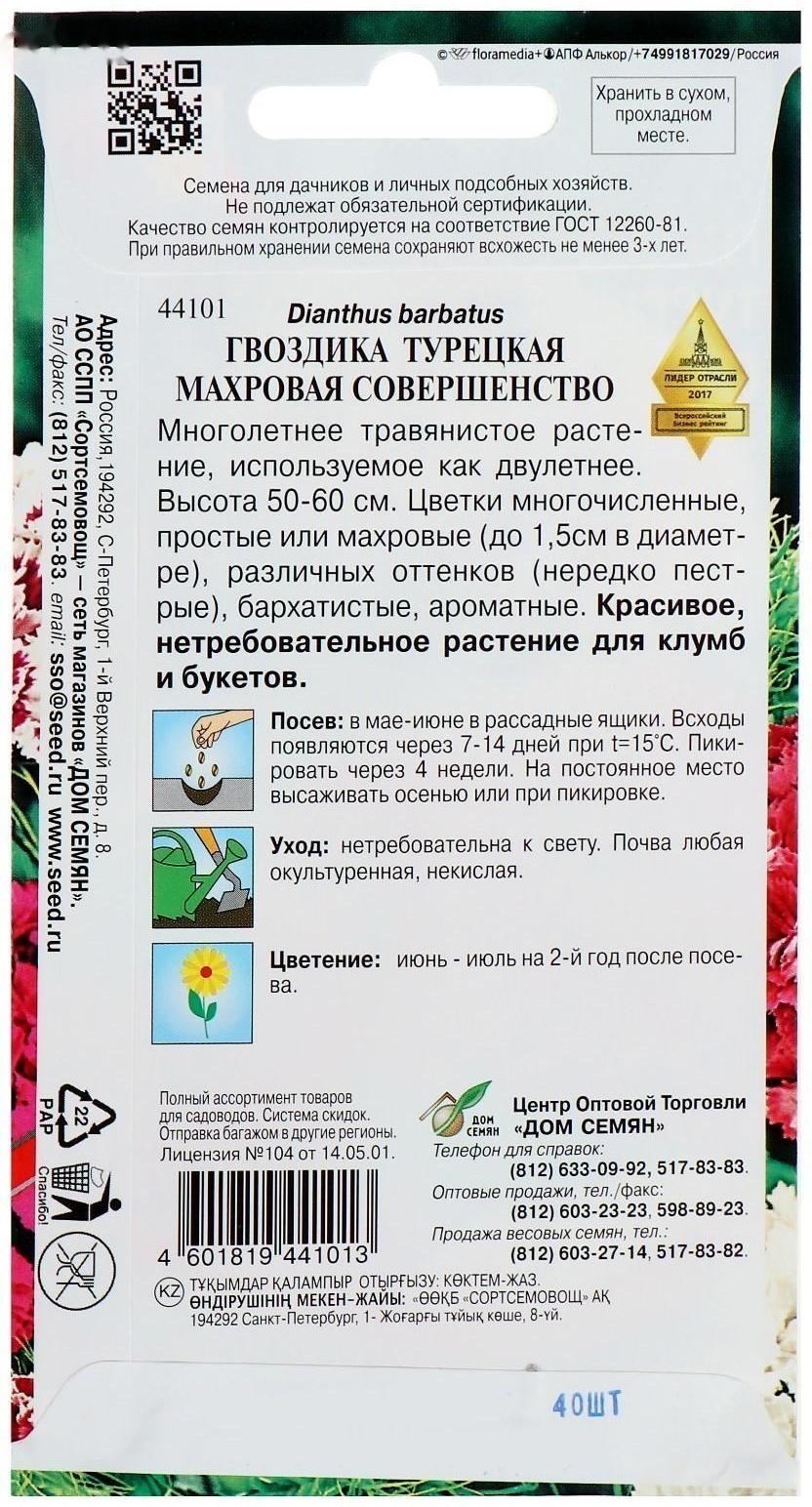 Семена цветов Гвоздика 