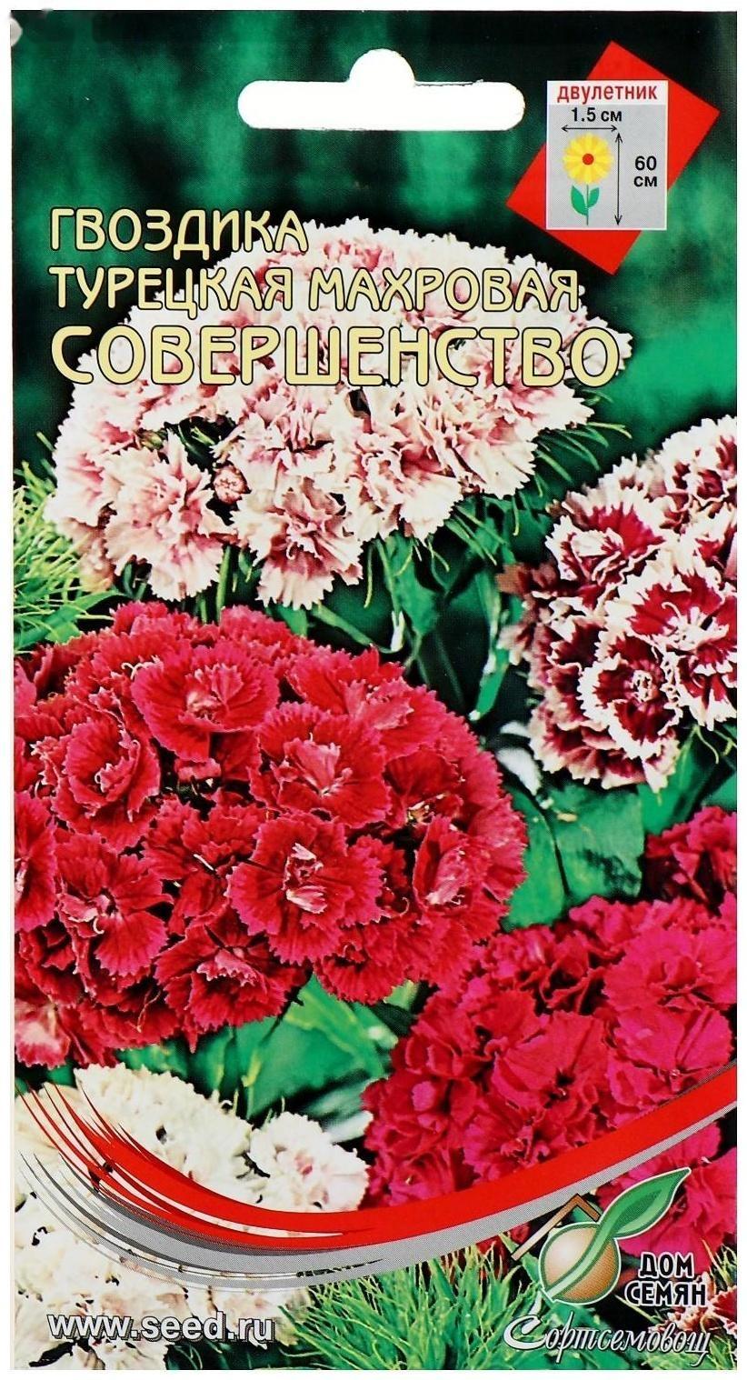 Семена цветов Гвоздика 