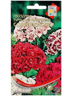 Семена цветов Гвоздика 