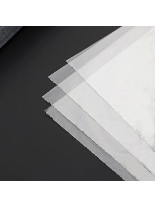 Пакеты для запекания рыбы Доляна, 25×50 см, 4 шт, с завязками