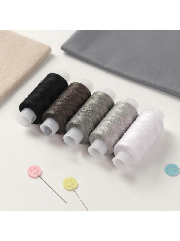 Набор ниток 40ЛШ, 200 м, 5 шт, цвет чёрный спектр