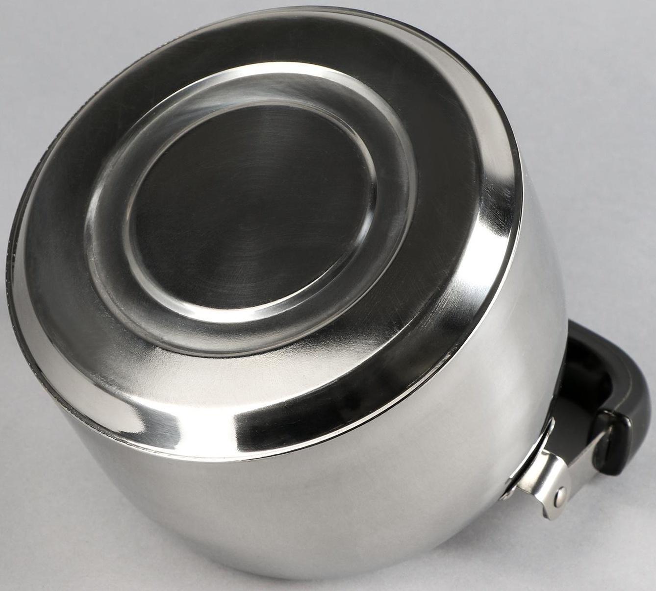 Чайник из нержавеющей стали, 3 л