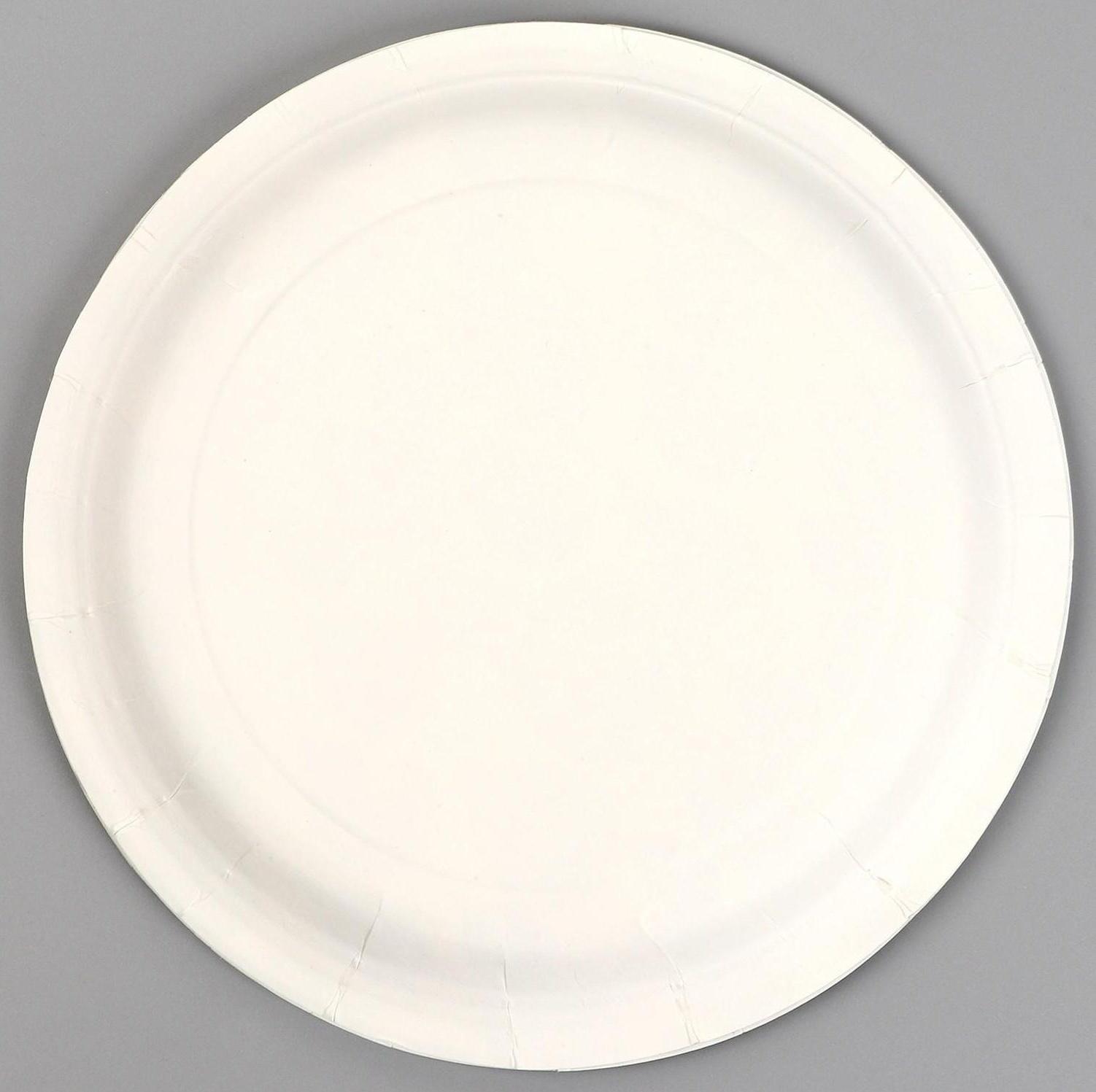 Тарелка бумажная «С ДР», оскорбительная, 18 см