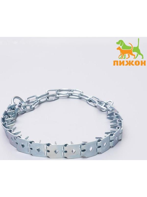 Ошейник строгий пластинчатый, цинк, 50 х 2,3 см