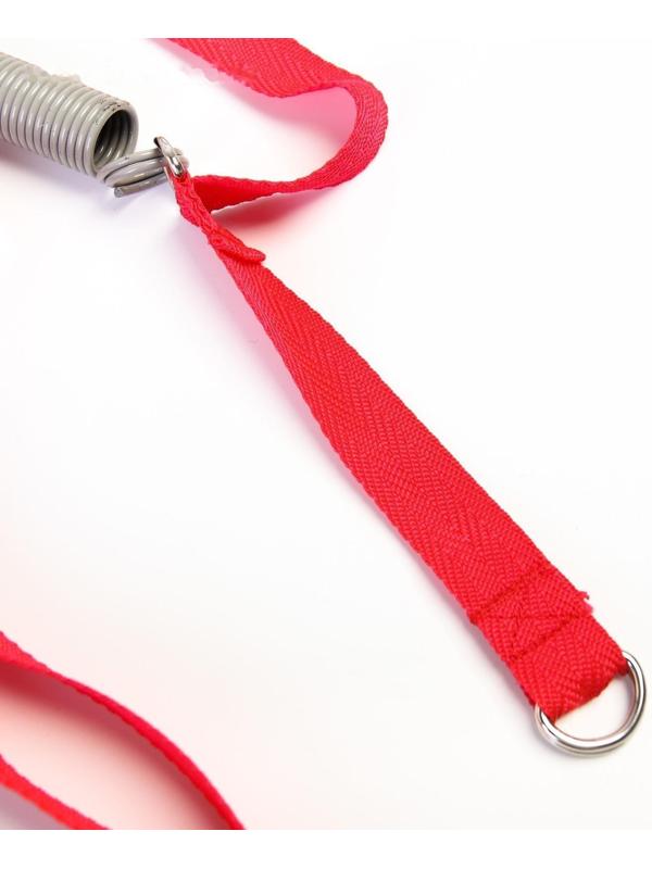 Прыгунки №1, 2в1, «Киса», цвет МИКС