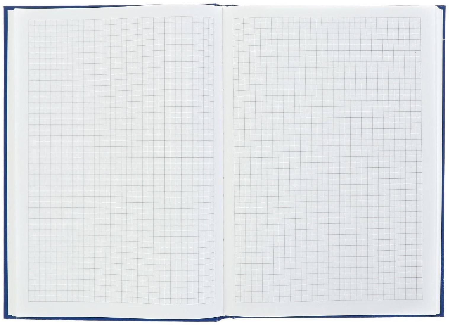 Книга учета А4, 160 листов в клетку, бумвинил, синяя