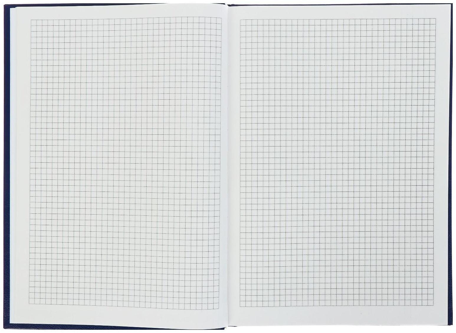 Книга учета А4, 240 листов в клетку, бумвинил, синяя
