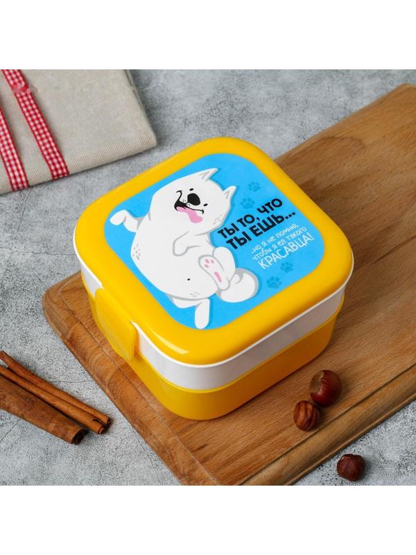 Ланч-бокс двухуровневый «Ты то, что ты ешь», 0.8 л