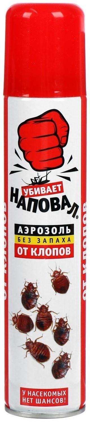 Аэрозоль от клопов 
