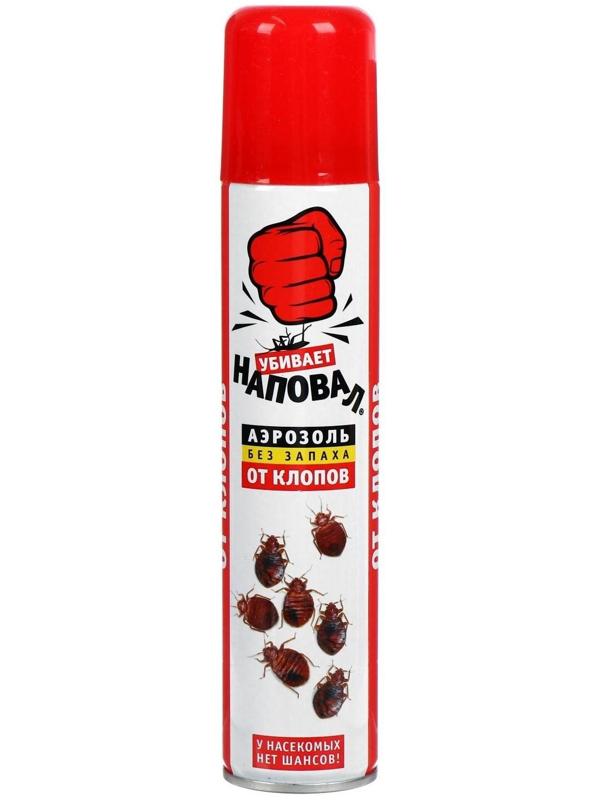 Аэрозоль от клопов 
