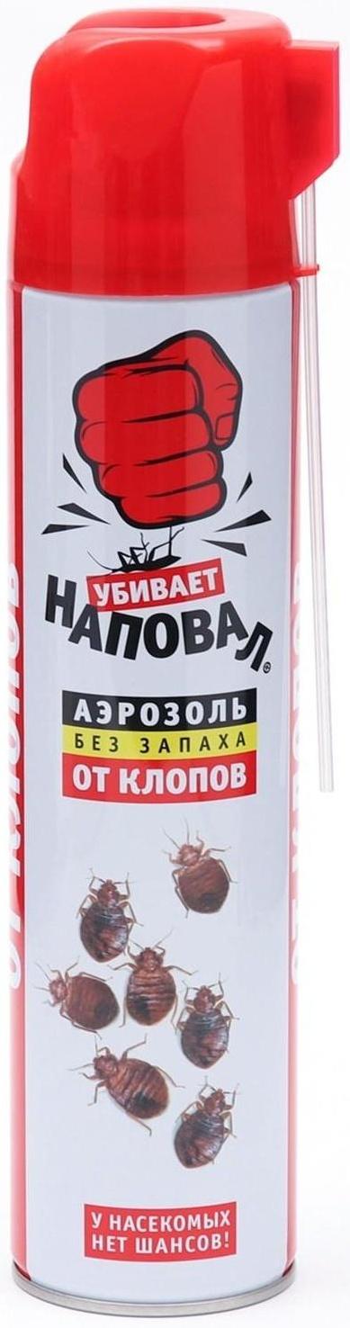 Аэрозоль от клопов 