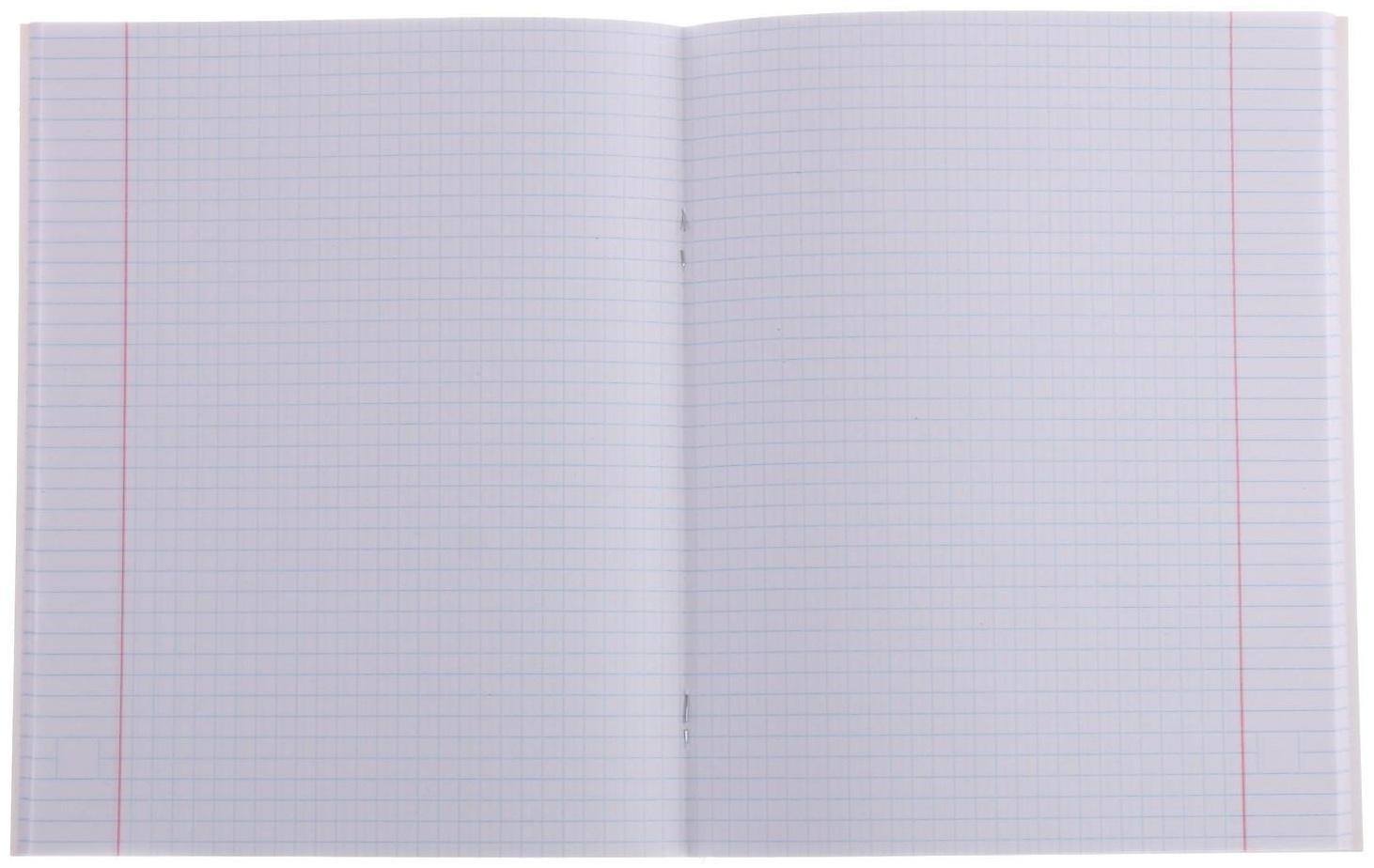 Тетрадь 48 листов в клетку Calligrata 