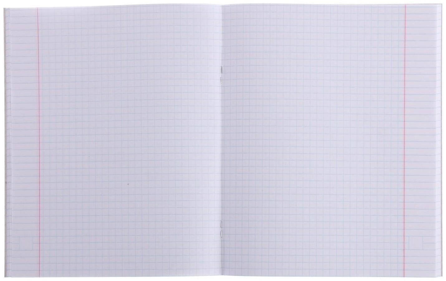 Тетрадь 48 листов в клетку Calligrata 