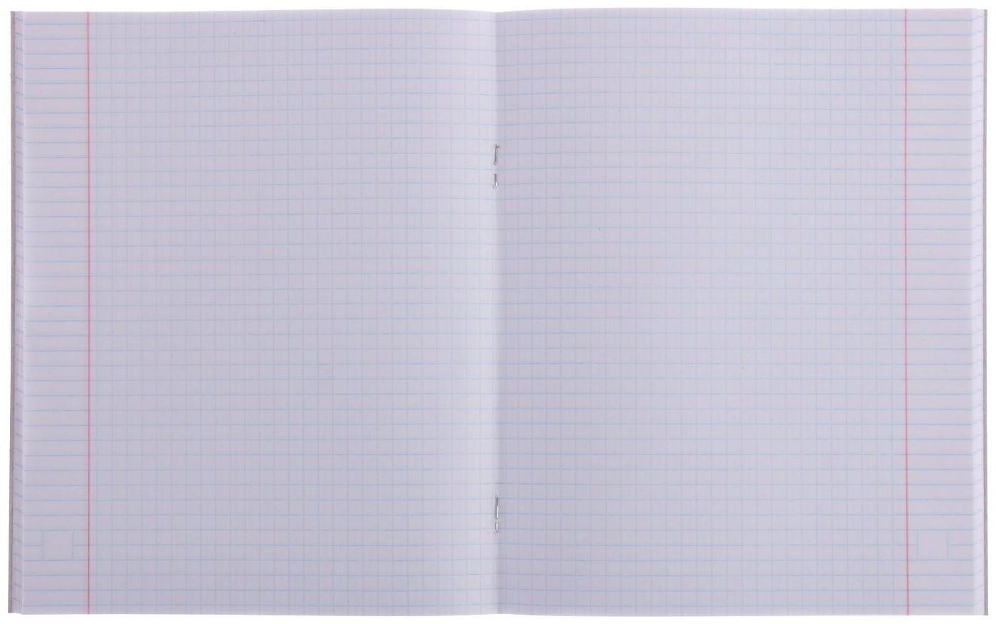 Тетрадь 48 листов в клетку Calligrata 