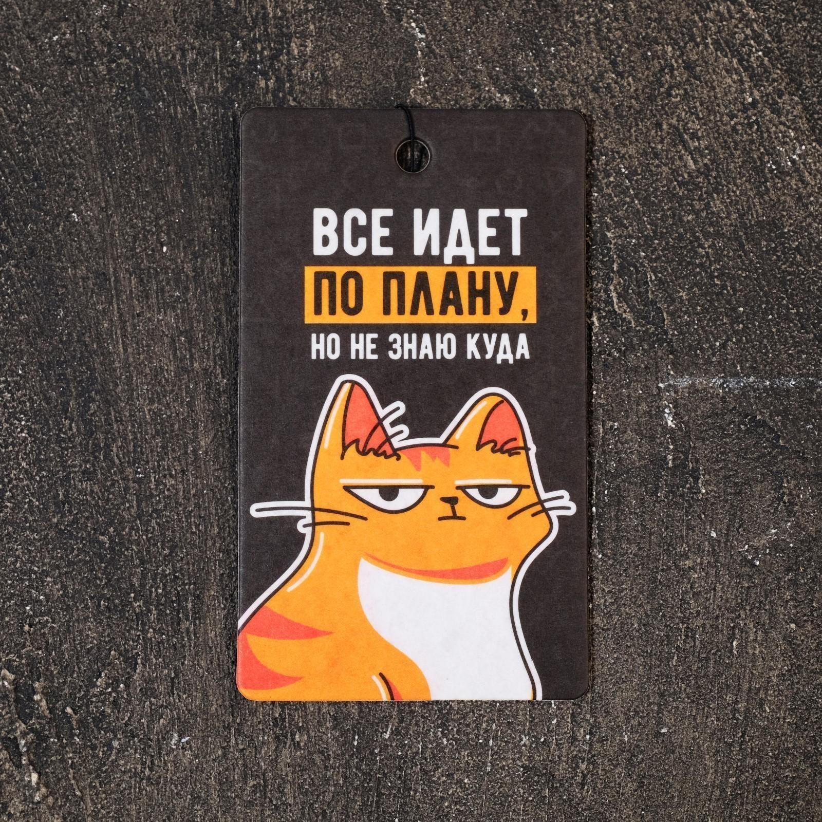 Ароматизатор в авто «Всё идёт по плану», тропики