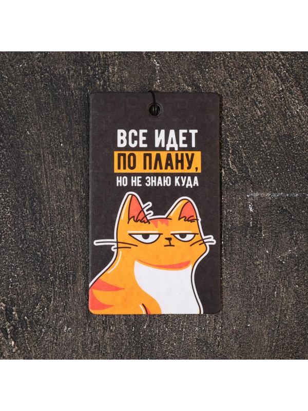 Ароматизатор в авто «Всё идёт по плану», тропики