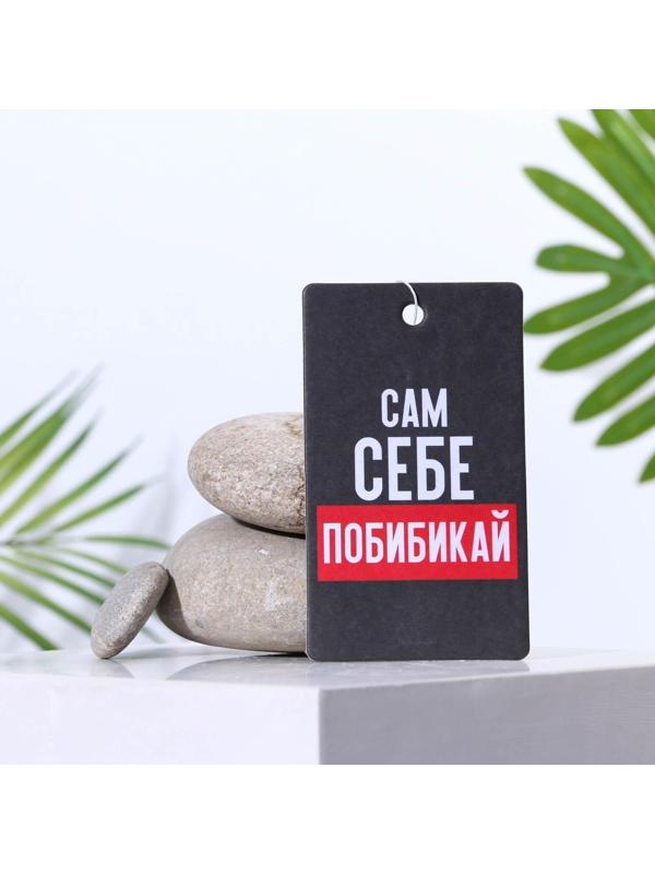 Ароматизатор в авто «Сам себе побибикай», антитабак